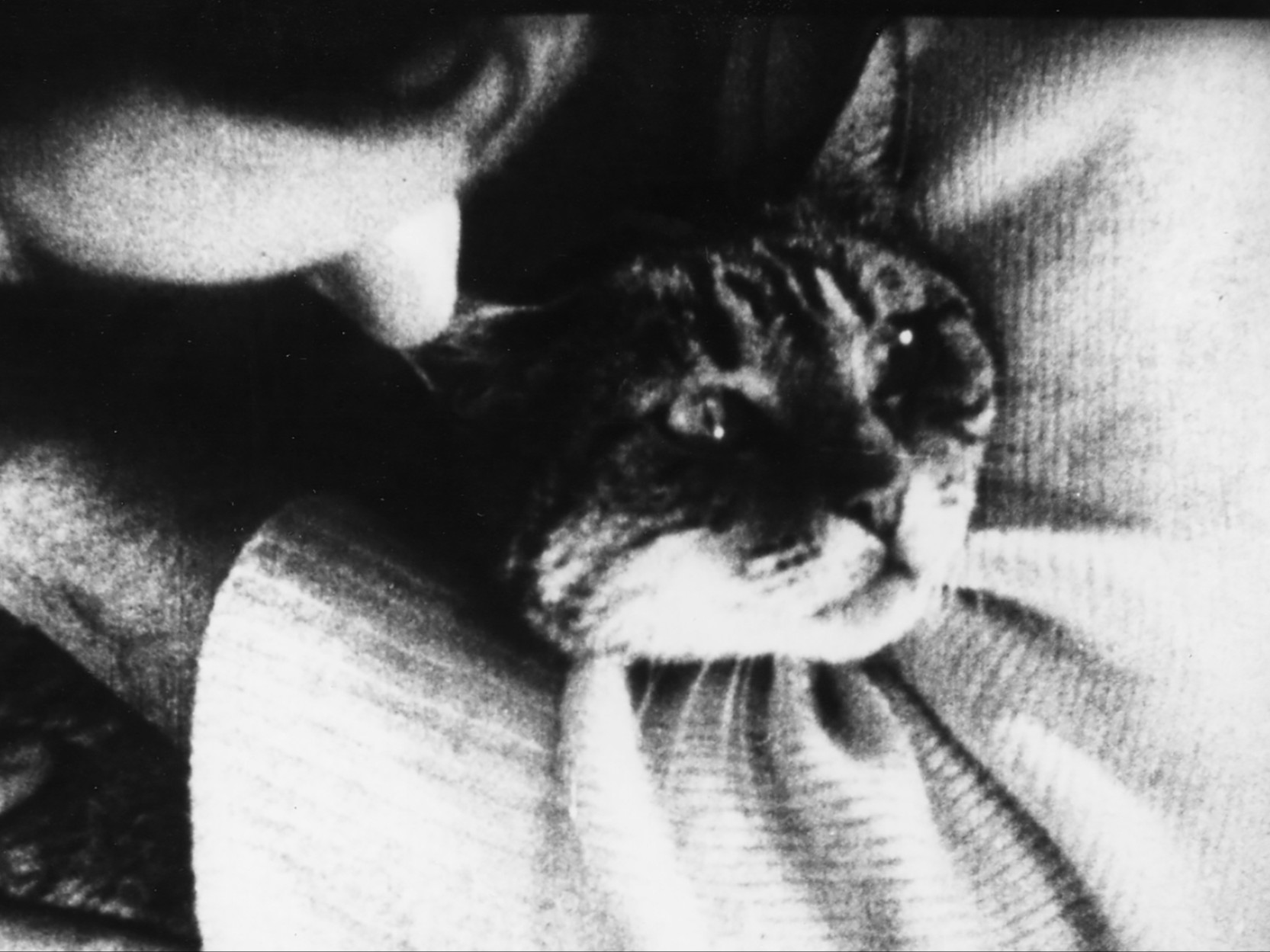 Trésors des archives (mai-juin)