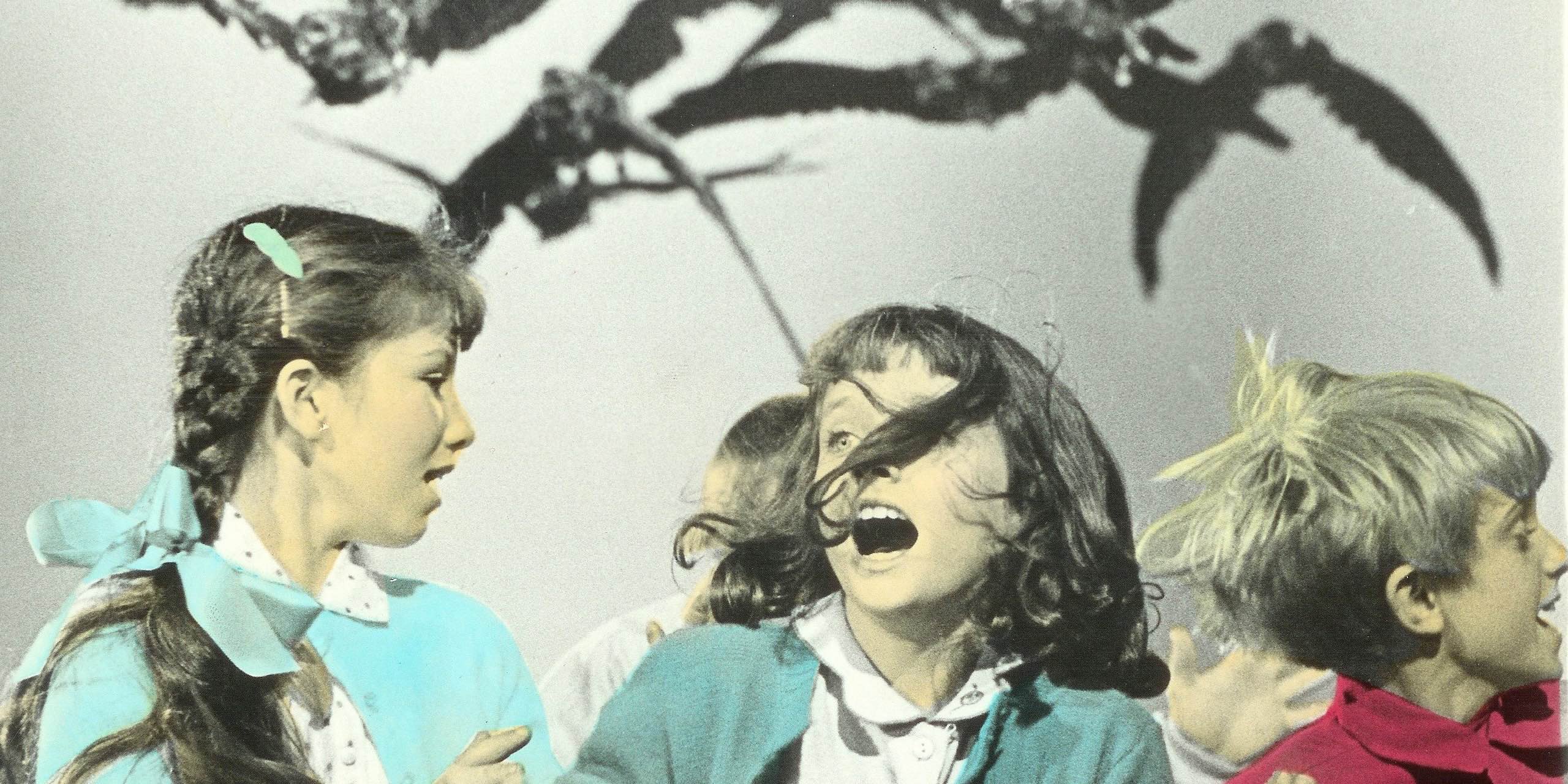 Les vendredis de la peur: Les Oiseaux