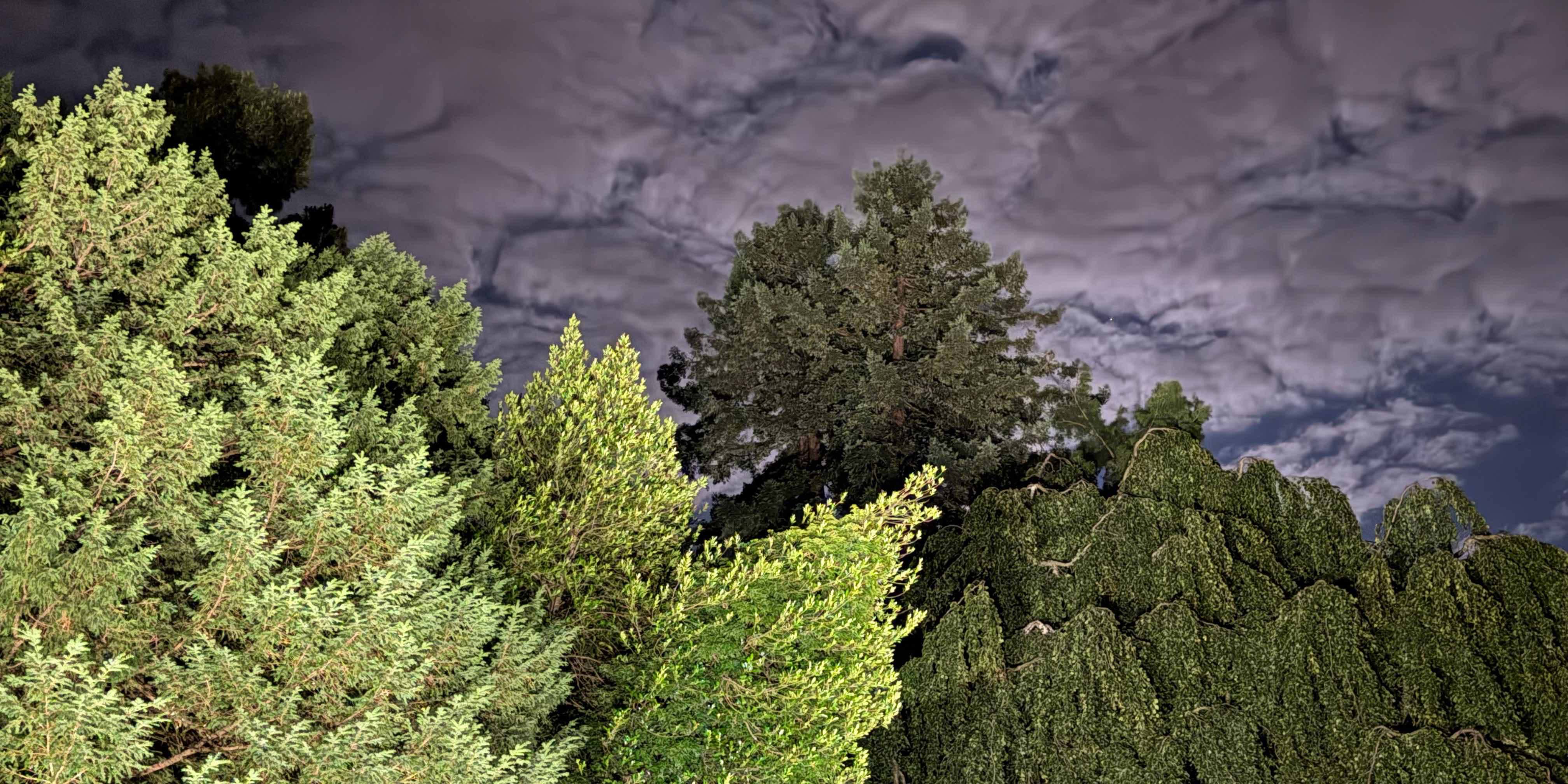 40 ans Compagnie Philippe Saire